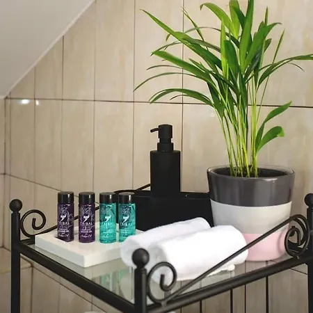 Vsa Boutique House Брашов