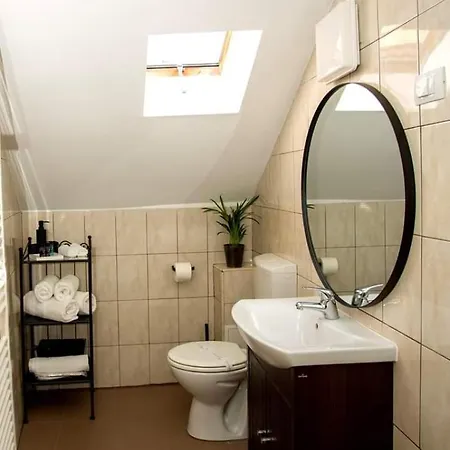 Vsa Boutique House 3* Брашов