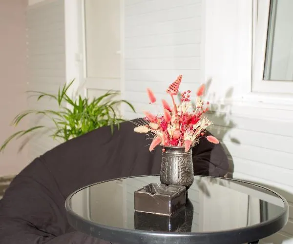 Vsa Boutique House 3* Brasov