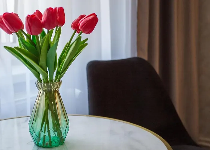 Vsa Boutique House Guest house