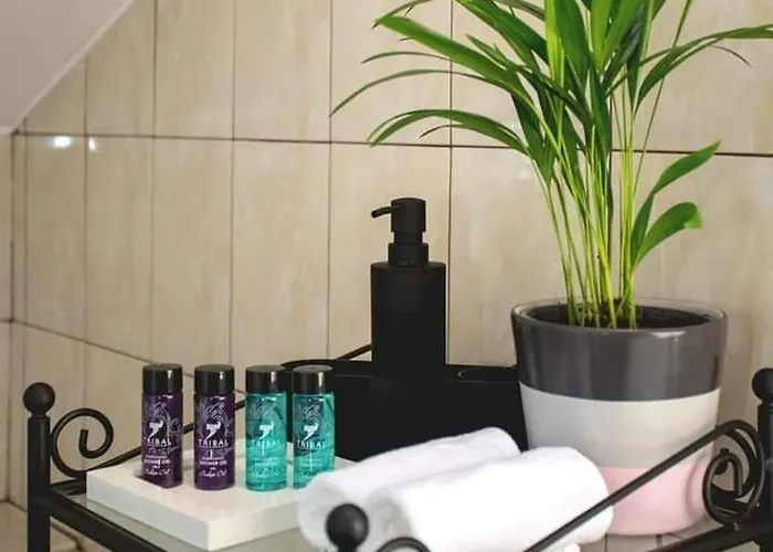 Vsa Boutique House Brasov