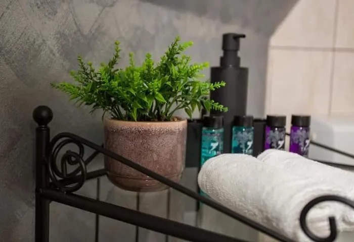 Guest house Vsa Boutique House